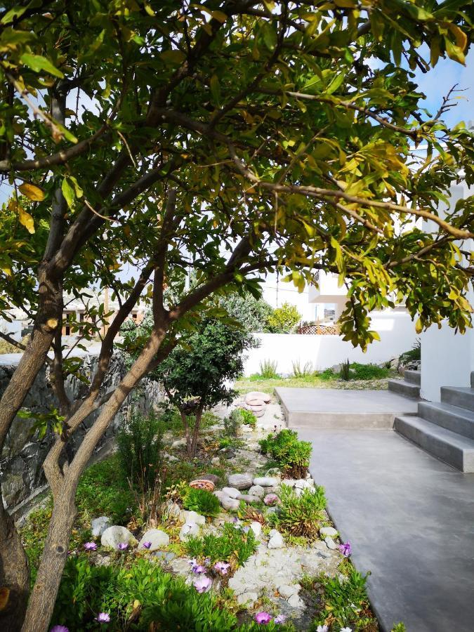 Summer Villa Adamantas  ภายนอก รูปภาพ